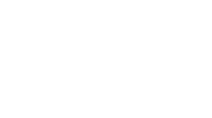 Vita Student logo